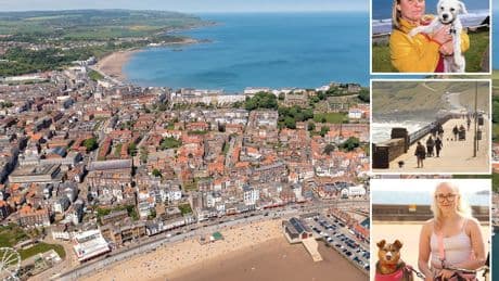 Our town is being shamed by ridiculous Tripadvisor tourist reviews that say it’s drug-riddled and covered in dog poo