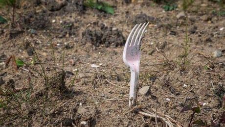 Gardeners should 'put plastic forks around plants' for important reason