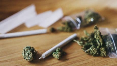 Höheres Risiko als noch vor 20 Jahren: Deswegen ist Cannabis heute schädlicher