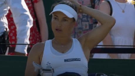 Wimbledon star asked for ‘dangerous’ fan to be removed over fear they had knife