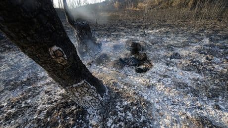 L’incendie dans l’Aude «pourrait avoir une cause criminelle», selon le procureur de Montpellier