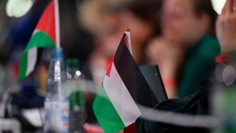 Die Linke hat recht: Deutschland braucht eine neue Antisemitismusdefinition