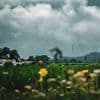 Die Wetterwoche im Schnellcheck: Sommer, Sonne, Sonnenschein? Ähmm ... leider nein