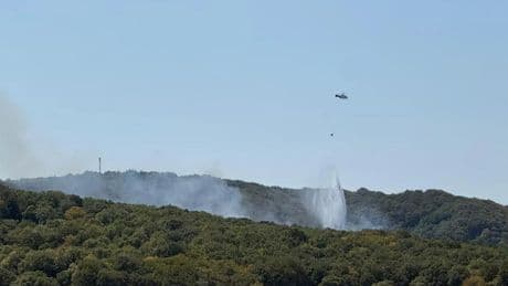 İstanbul Zekeriyaköy'deki orman yangını söndürüldü