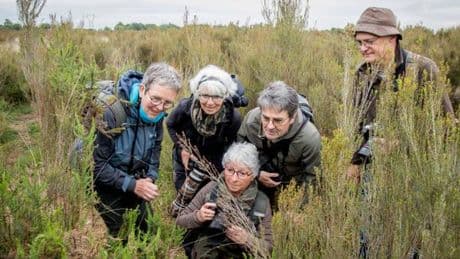 « On fait des safaris dans nos jardins ! » : l’art de saisir l’infiniment petit