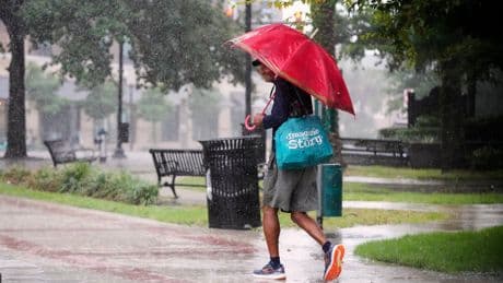 System over Florida has potential to develop into tropical depression, weather service says