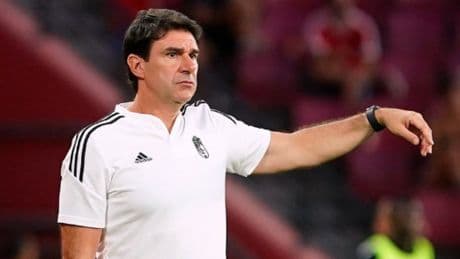 Aitor Karanka es el elegido por la RFEF para ser el director técnico