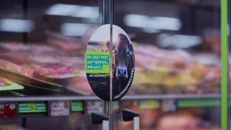 Tierwohl: Aldi Süd sortiert Fleisch künftig nach Haltungsform