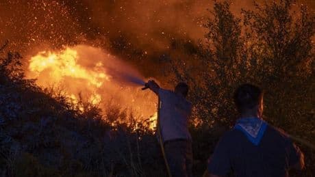 La ola de incendios se extiende a Salamanca y sigue descontrolada en Galicia y Extremadura
