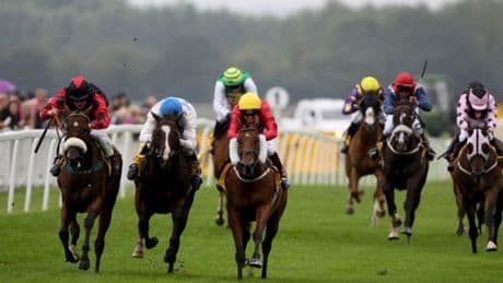 Newsboy’s horseracing tips for Monday’s five meetings, including Ripon Nap