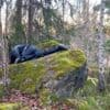 Manches muss kaputtgehen: Das Festival „Making Life in the Ruins“ in den Sophiensaelen