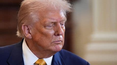 Donald Trumps Name soll in Epstein-Bericht auftauchen