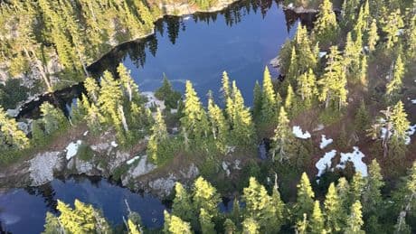 29-year-old man presumed drowned in Cabin Lake within Cypress Provincial Park