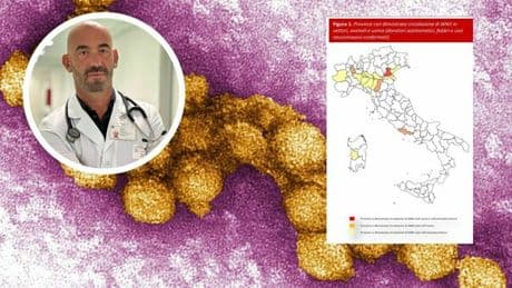 West Nile, casi in aumento in Italia: la mappa dei contagi. Bassetti: «Non esiste una cura, ecco chi è a rischio»