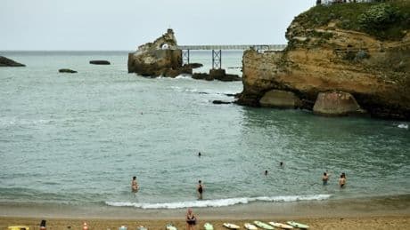 Une plage de Biarritz interdite à la baignade en raison d'une algue toxique