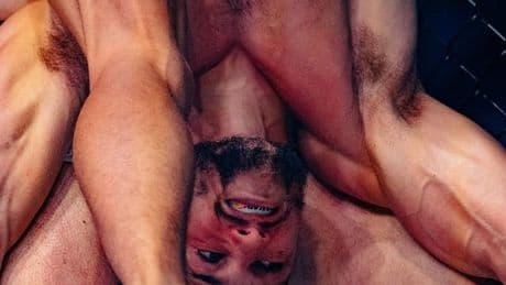 MMA: "Mixed Martial Arts ist, wie der Name schon sagt: Kunst"