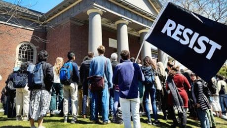 „Das ist wie ein Todesurteil für Harvard als globale Elite-Institution“