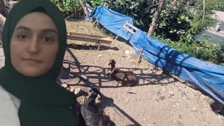 Diyarbakır'da kahreden ölüm: Keçiye yardım etmek isterken hayatını kaybetti