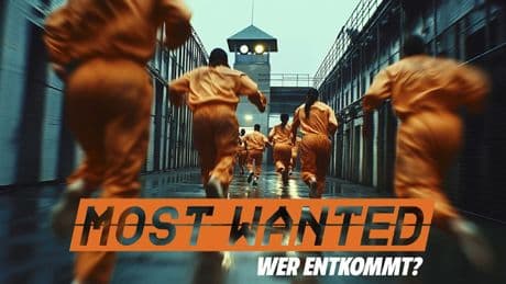 Promis auf der Flucht - Alle Infos zur interaktiven Jagd von „Most Wanted“