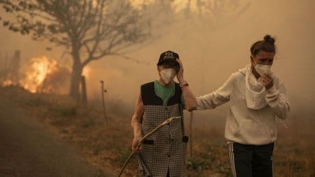 El Gobierno activa el procedimiento para las ayudas a los afectados por los incendios y se abre a aumentarlas