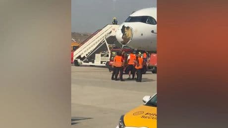 Del choque con un ave al fallo del motor: las tres coincidencias que desataron el terror en el avión de Iberia