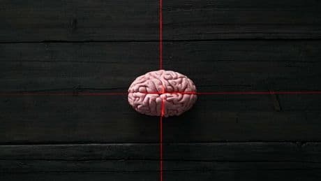 Sakana AI: Nun kommt Künstliche Intelligenz, die wie ein Mensch denkt – und schummelt