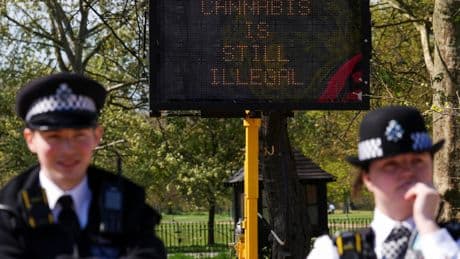 California’s High Potency Cannabis is Fueling a ‘Cali Weed’ Trend in the UK
