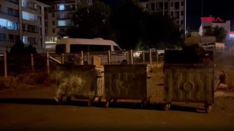 Tunceli'de kan donduran vahşet! Sokak kedisini katledip çöpe attı