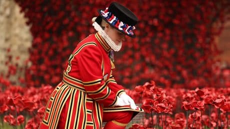 ¿Por qué las amapolas conmemoran a los soldados muertos en las guerras mundiales?