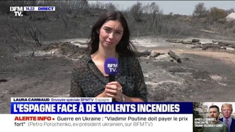 En Espagne, les images des dégâts après le passage d'un incendie qui a tout ravagé sur son passage