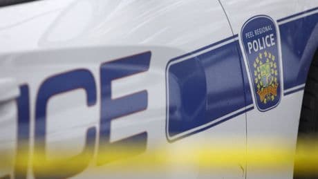 Crime ring exchanged stolen baby formula for drugs in Mississauga, Ont.: police