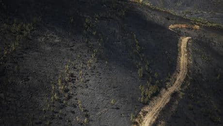 Estabilizado el incendio de Larouco, el mayor de la historia de Galicia con 30.000 hectáreas calcinadas