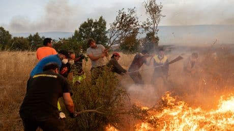 Muere uno de los heridos que combatía el incendio de Zamora y León
