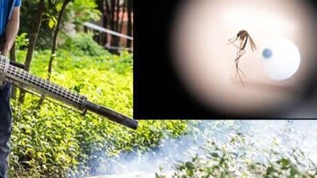 ÇİN'DE CHIKUNGUNYA SALGINI ALARM VERDİ: 7 BİNDEN FAZLA VAKA, DRONLA MÜCADELE BAŞLADI