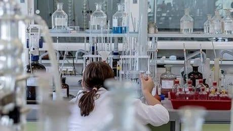 Kimya sektörü temmuz ayında rekor kırdı