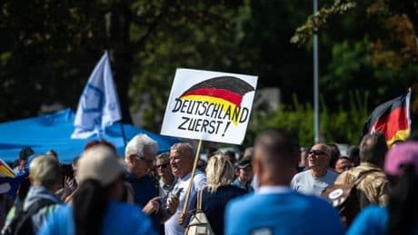 Umfrage: So viele Deutsche befürworten ein AfD-Verbotsverfahren