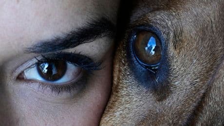 AP Week in Pictures: Latin America and Caribbean