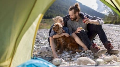 Reisen mit dem Haustier - Tipps und Tricks für den Campingurlaub mit Hund