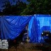 The homeless Ibiza workers forced to camp in shanty towns after being priced out by spiralling rents on party island… as tourists revel in luxury