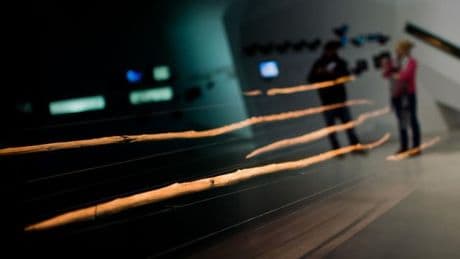 Neue Datierung: Studie: Schöninger Speere sind nur 200.000 Jahre alt