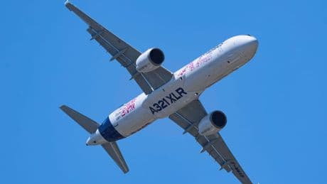 Spanien: Geier zerstört neuen Airbus beim Start in Madrid