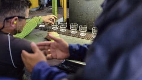 « On a donné de l’espoir à beaucoup de gens » : comment les Duralex ont sauvé leur entreprise