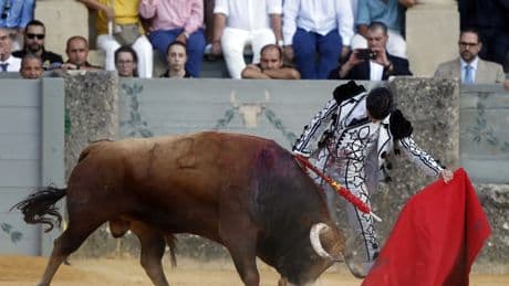 El novillero Sergio Rollón sufre una gravísima cornada en Valdetorres del Jarama