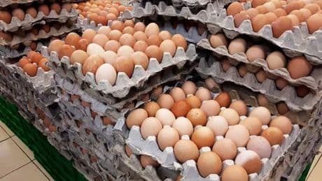 Shoppers urged to check eggs for one small detail to avoid risk of salmonella