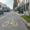 Verkehrspolitik: Radweg in der Kantstraße soll weg
