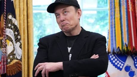 Elon Musk slammed for spreading misinformation after Dundee 'blade' incident