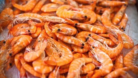 Aux États-Unis, des crevettes potentiellement radioactives rappelées dans les magasins Walmart