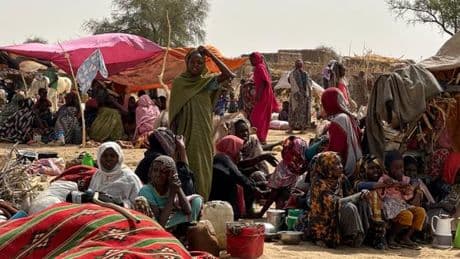 Guerre au Soudan : la tragédie humanitaire des déplacés au Darfour