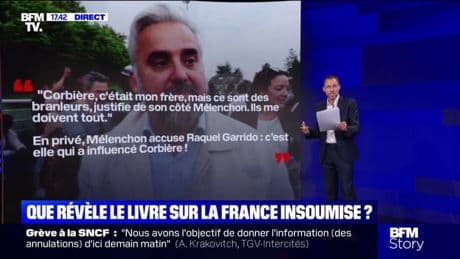 LES ÉCLAIREURS - "La Meute": que révèle le livre sur La France insoumise?