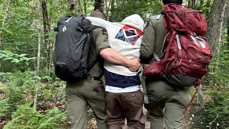 Hikers on psychedelic mushrooms rescued after getting lost on N.Y. hike